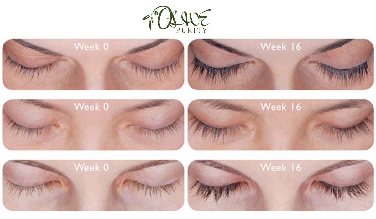 Olive Oil Help Your Eyelashes Grow