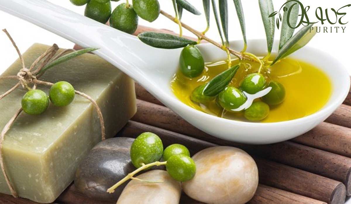 olive oil increase estrogen