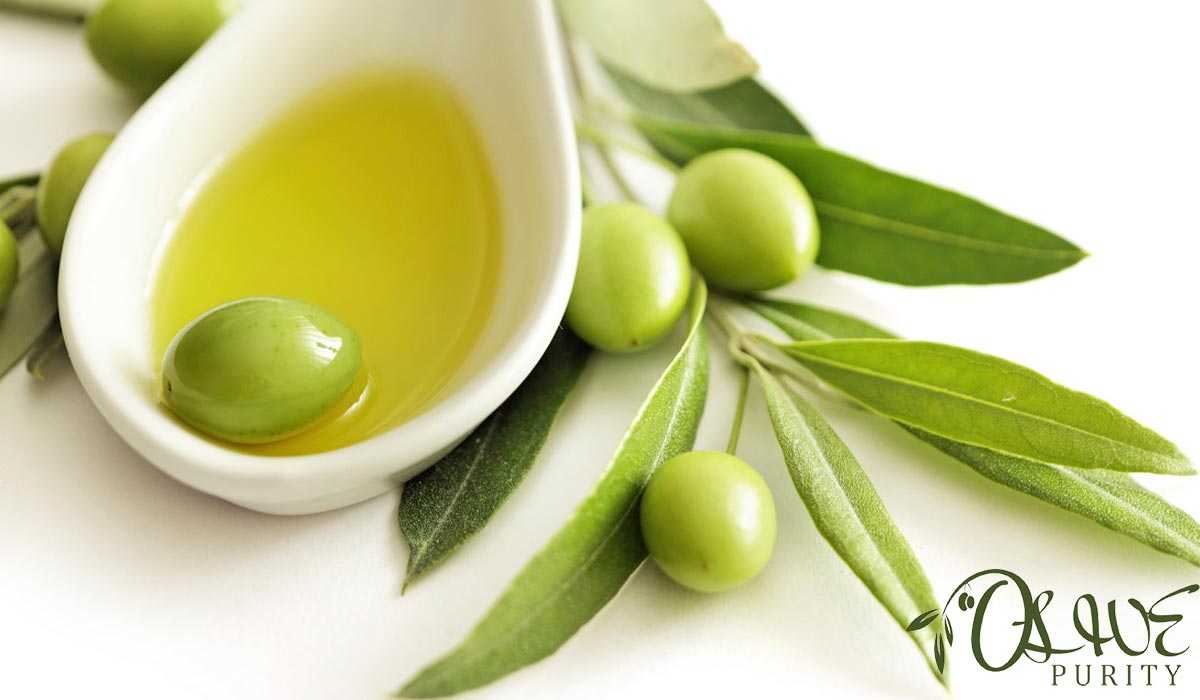 Is Olive a Seed Oil