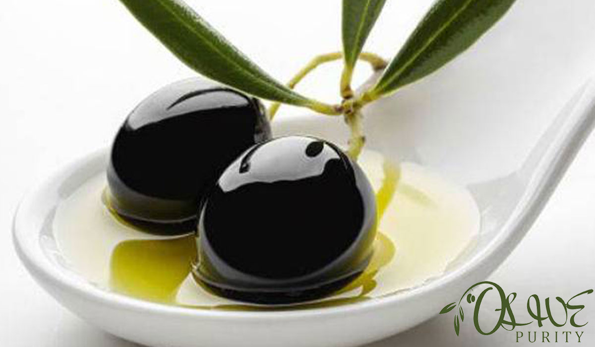 Olive Oil Kosher