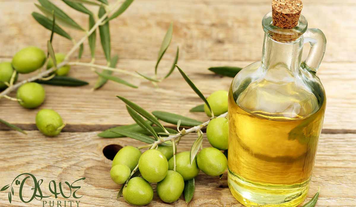 Olive Oil Paleo