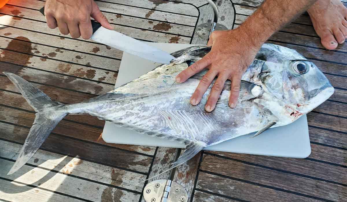 PAN-SEARED VERMILLION SNAPPER